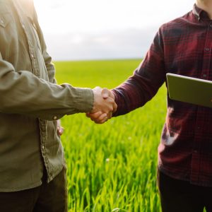 Two farmers making agreement with handshake in green wheat field. Agricultural business.